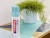 Lakk spray, 200 ml, EDDING "5200", magasfényű